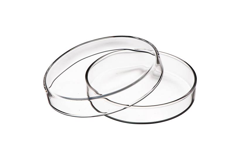 Caja De Petri Vidrio Boro 3.3 100mm