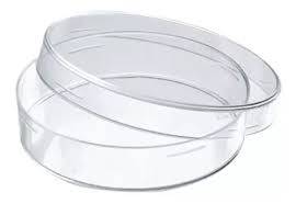 Caja De Petri Plástica 6cm x10u
