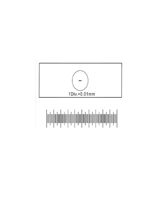 Micrómetro De Objetivo  1mm/100 Porta Graduado Para Microscopio