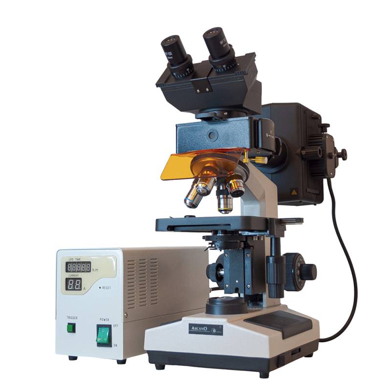 Microscopio Trinocular para Epifluoresencia XSZ-107BNT-YX PREMIUM Lampara HBO 100W.